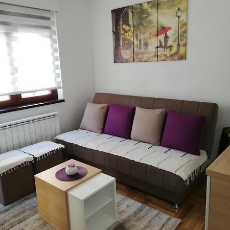 Apartman Milosevic Златибор Экстерьер фото